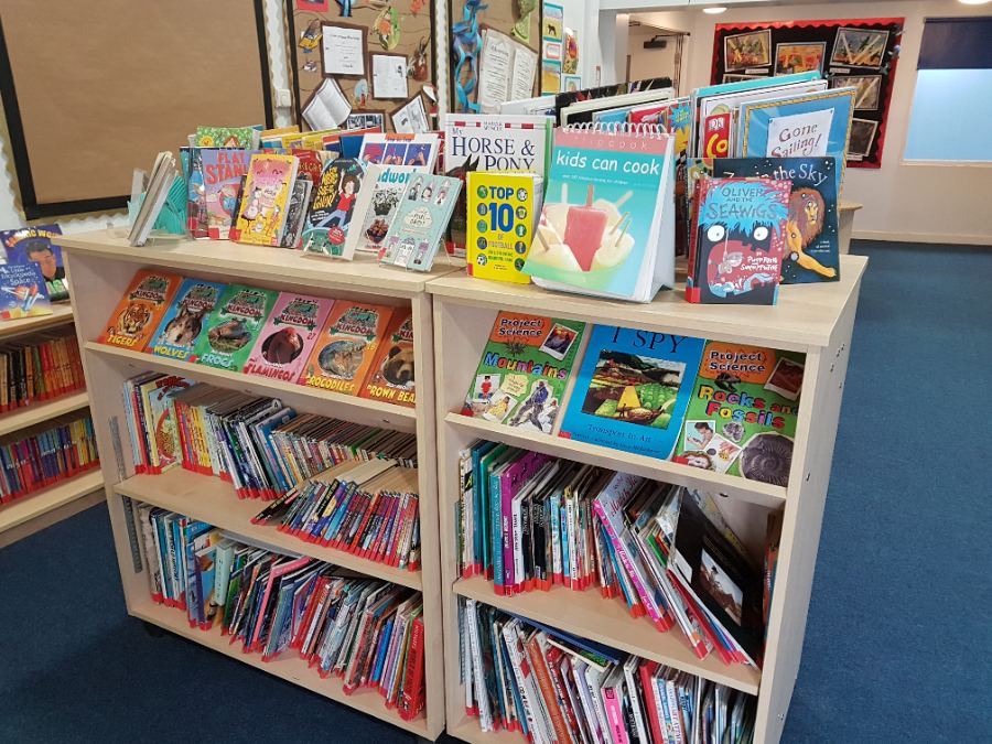 Junior Library book shelf display