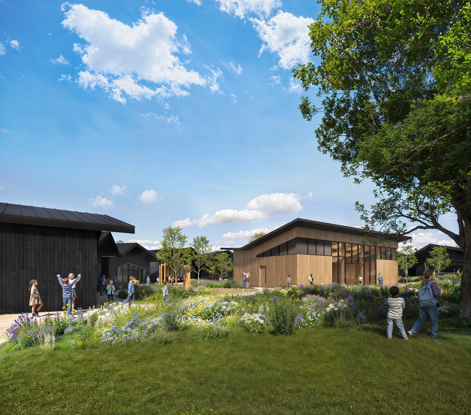 Architect's ground-level view across a wildflower meadow towards the new timber building and classrooms